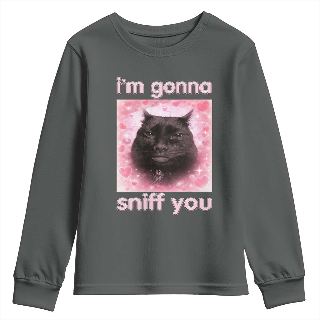 I'm Gonna Sniff You Youth Sweatshirt Funny Black Cat Brainrot Meme