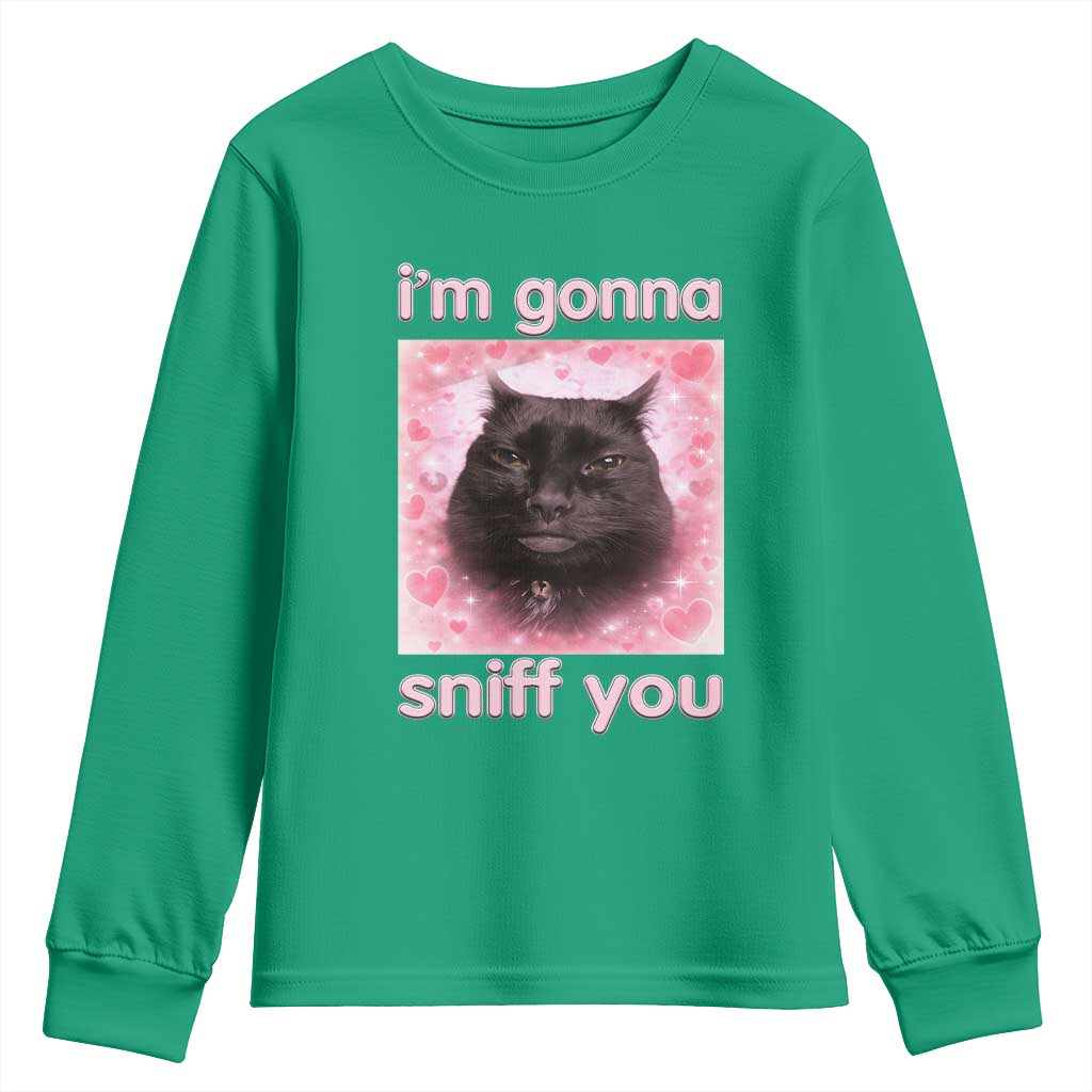 I'm Gonna Sniff You Youth Sweatshirt Funny Black Cat Brainrot Meme