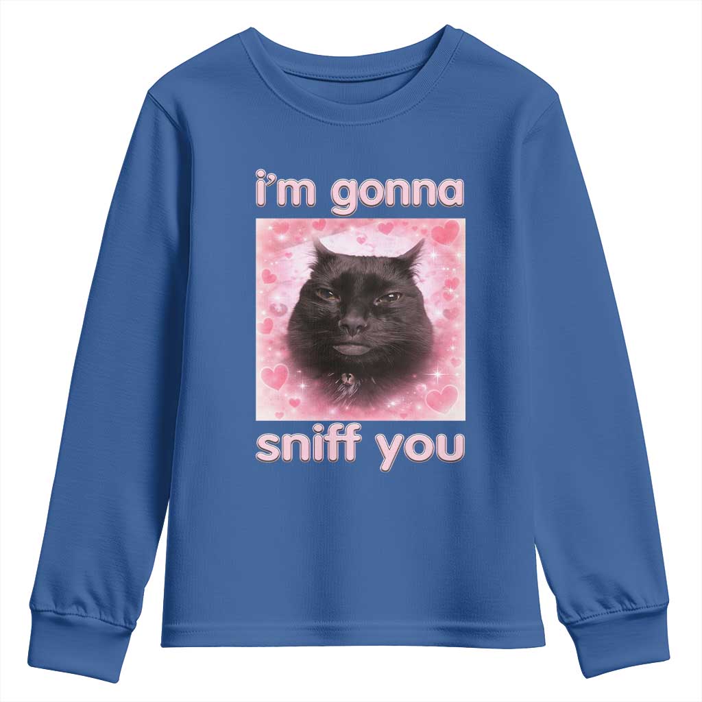 I'm Gonna Sniff You Youth Sweatshirt Funny Black Cat Brainrot Meme