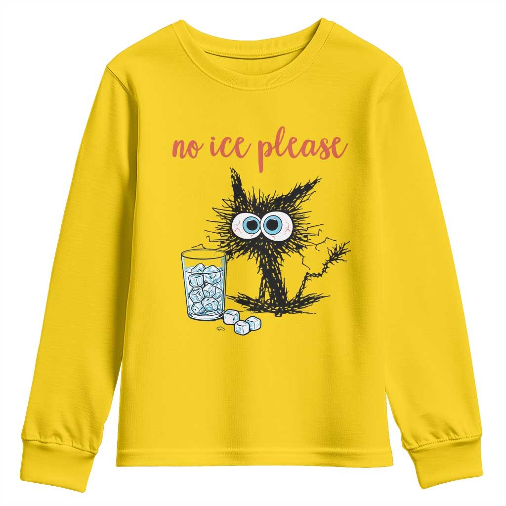 No Ice Please Youth Sweatshirt Funny Black Cat Sarcastic Abolish ICE Meme