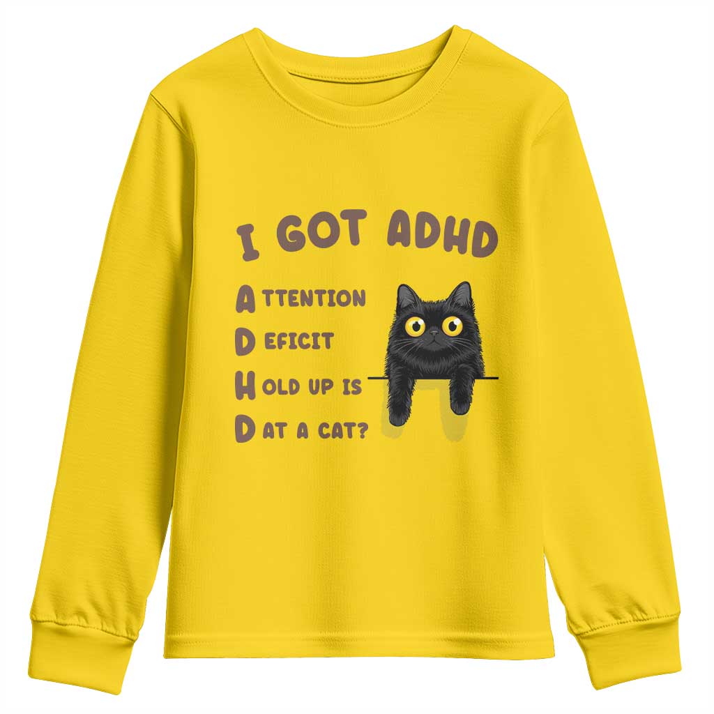 I Got ADHD is that A Cat Youth Sweatshirt Funny Cat Lover