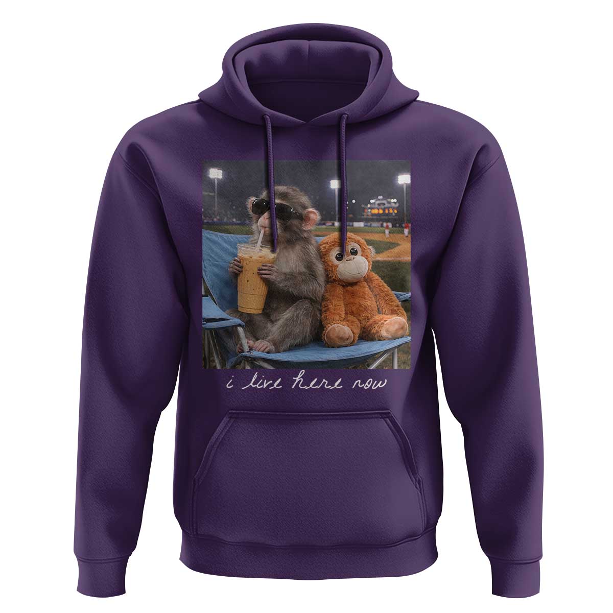 Funny Punch Monkey Baseball Hoodie I Live Here Now Ballpark Graphic