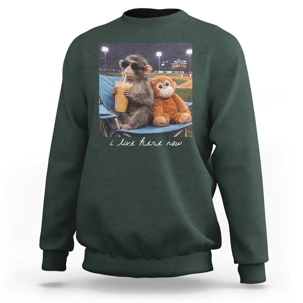 Funny Punch Monkey Baseball Sweatshirt I Live Here Now Ballpark Graphic