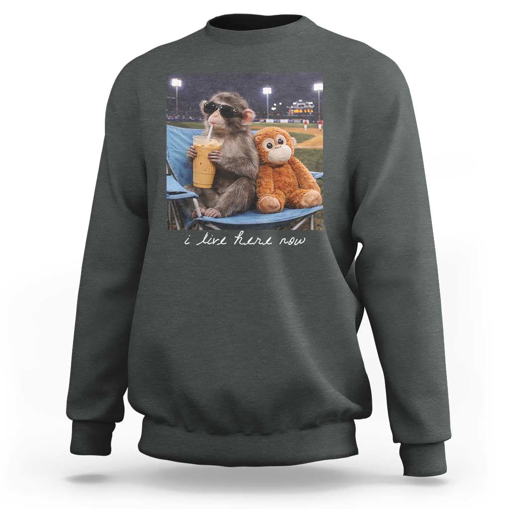 Funny Punch Monkey Baseball Sweatshirt I Live Here Now Ballpark Graphic