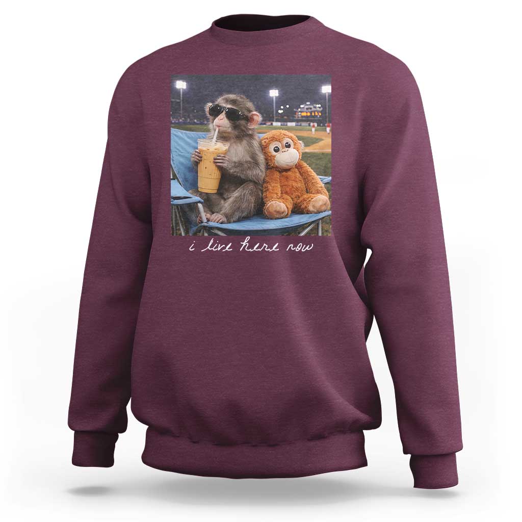 Funny Punch Monkey Baseball Sweatshirt I Live Here Now Ballpark Graphic