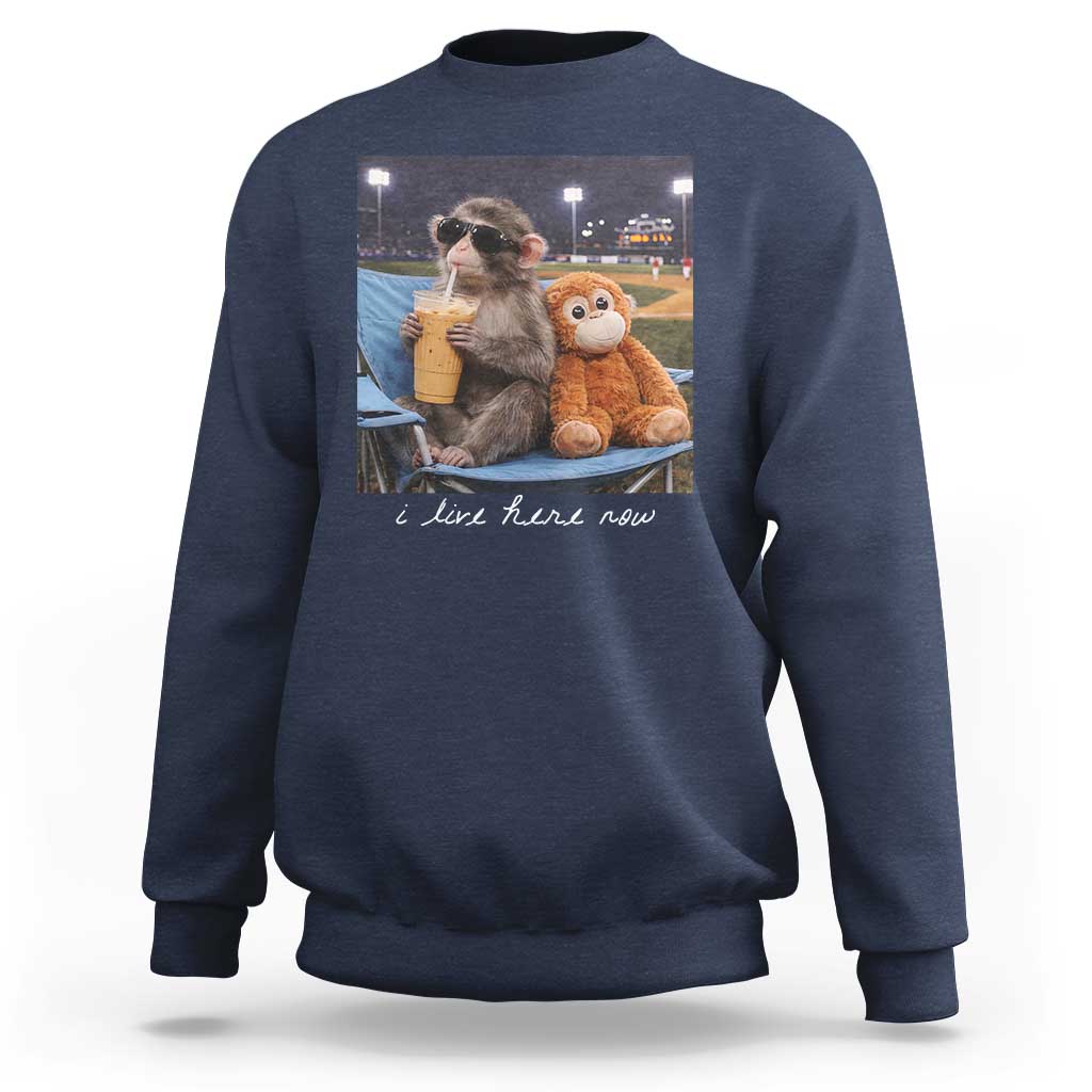 Funny Punch Monkey Baseball Sweatshirt I Live Here Now Ballpark Graphic