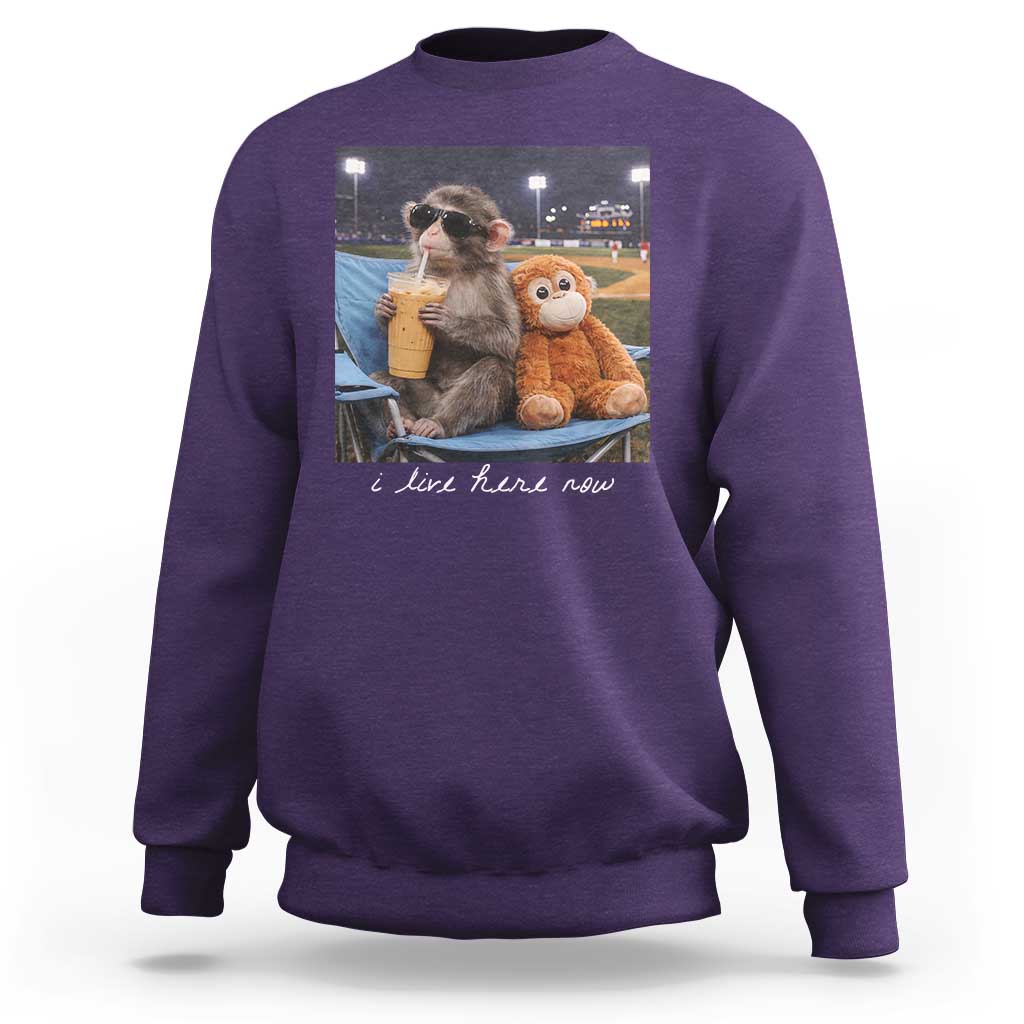 Funny Punch Monkey Baseball Sweatshirt I Live Here Now Ballpark Graphic