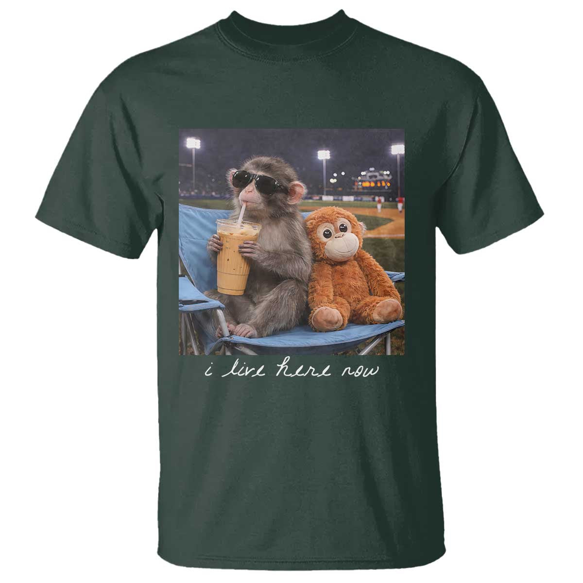 Funny Punch Monkey Baseball T Shirt I Live Here Now Ballpark Graphic