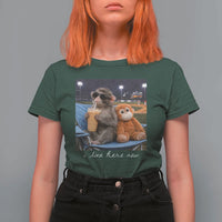 Funny Punch Monkey Baseball T Shirt For Women I Live Here Now Ballpark Graphic