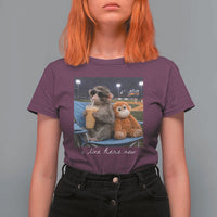 Funny Punch Monkey Baseball T Shirt For Women I Live Here Now Ballpark Graphic