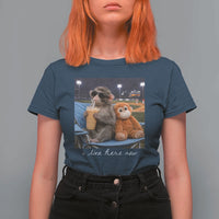 Funny Punch Monkey Baseball T Shirt For Women I Live Here Now Ballpark Graphic