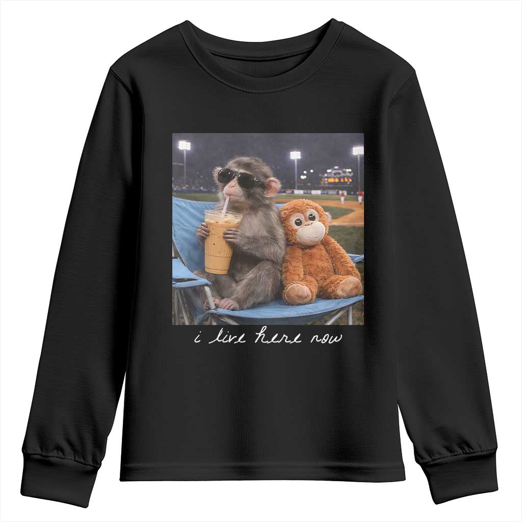Funny Punch Monkey Baseball Youth Sweatshirt I Live Here Now Ballpark Graphic