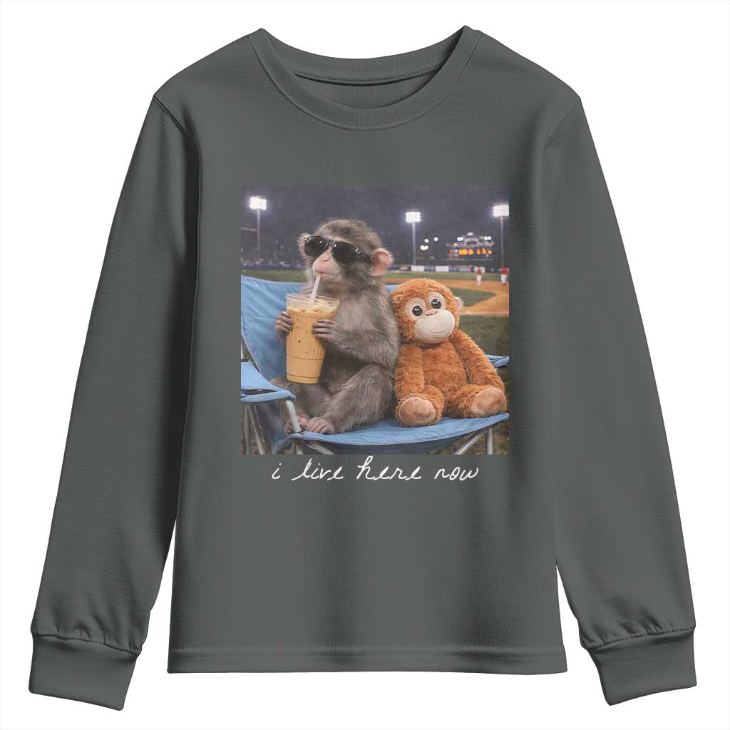 Funny Punch Monkey Baseball Youth Sweatshirt I Live Here Now Ballpark Graphic