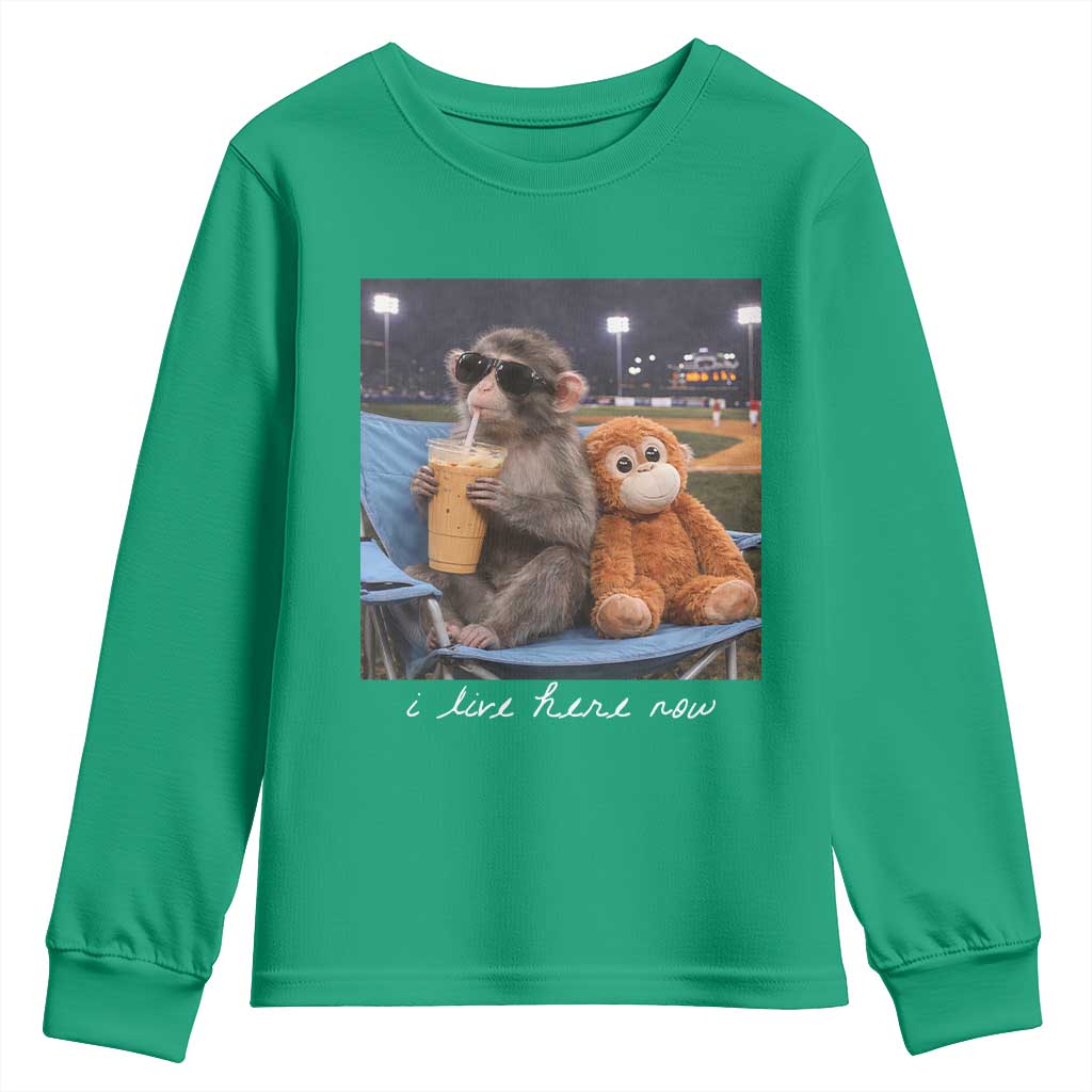 Funny Punch Monkey Baseball Youth Sweatshirt I Live Here Now Ballpark Graphic