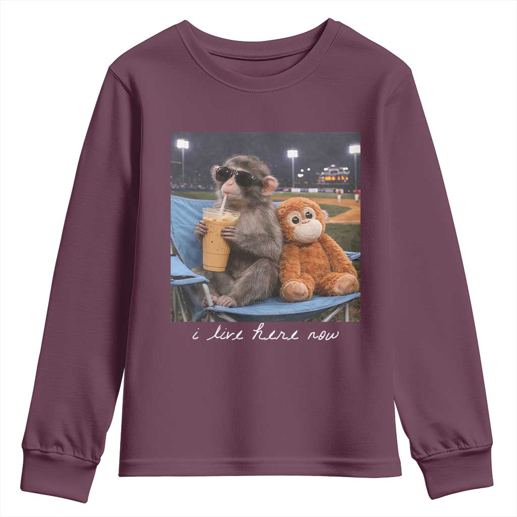Funny Punch Monkey Baseball Youth Sweatshirt I Live Here Now Ballpark Graphic