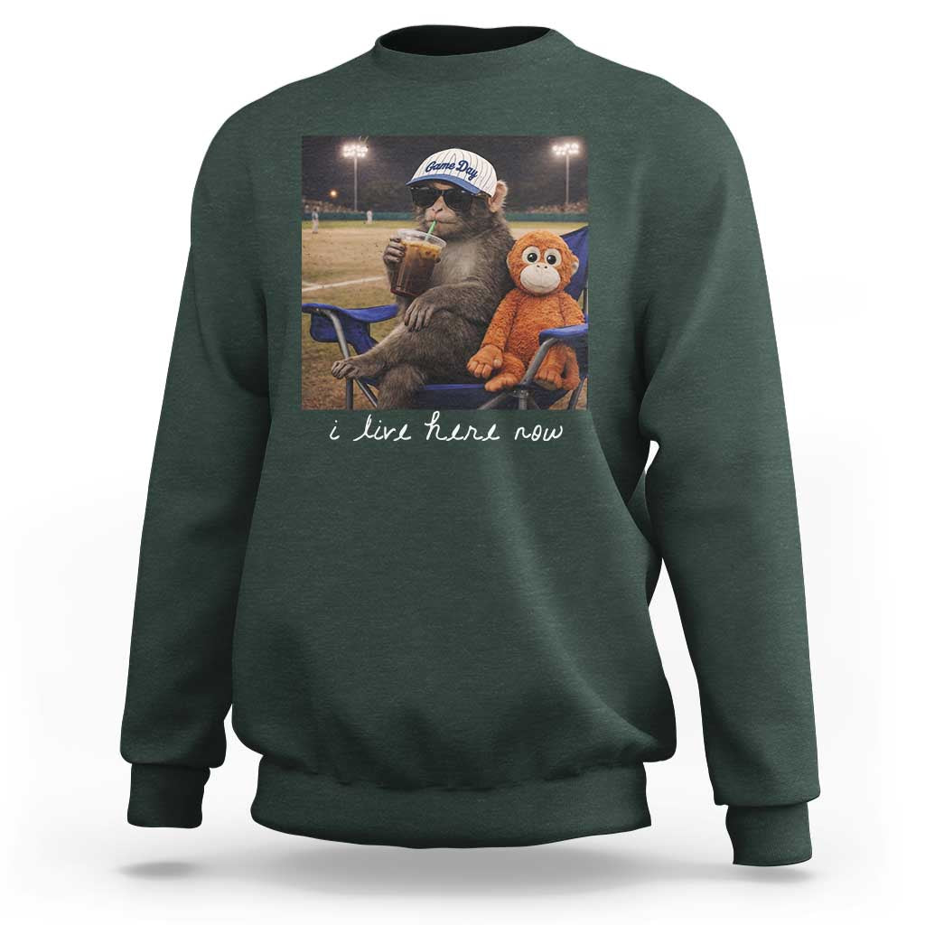 I Live Here Now Punch Monkey Sweatshirt Funny Drinking Iced Coffee Baseball Field