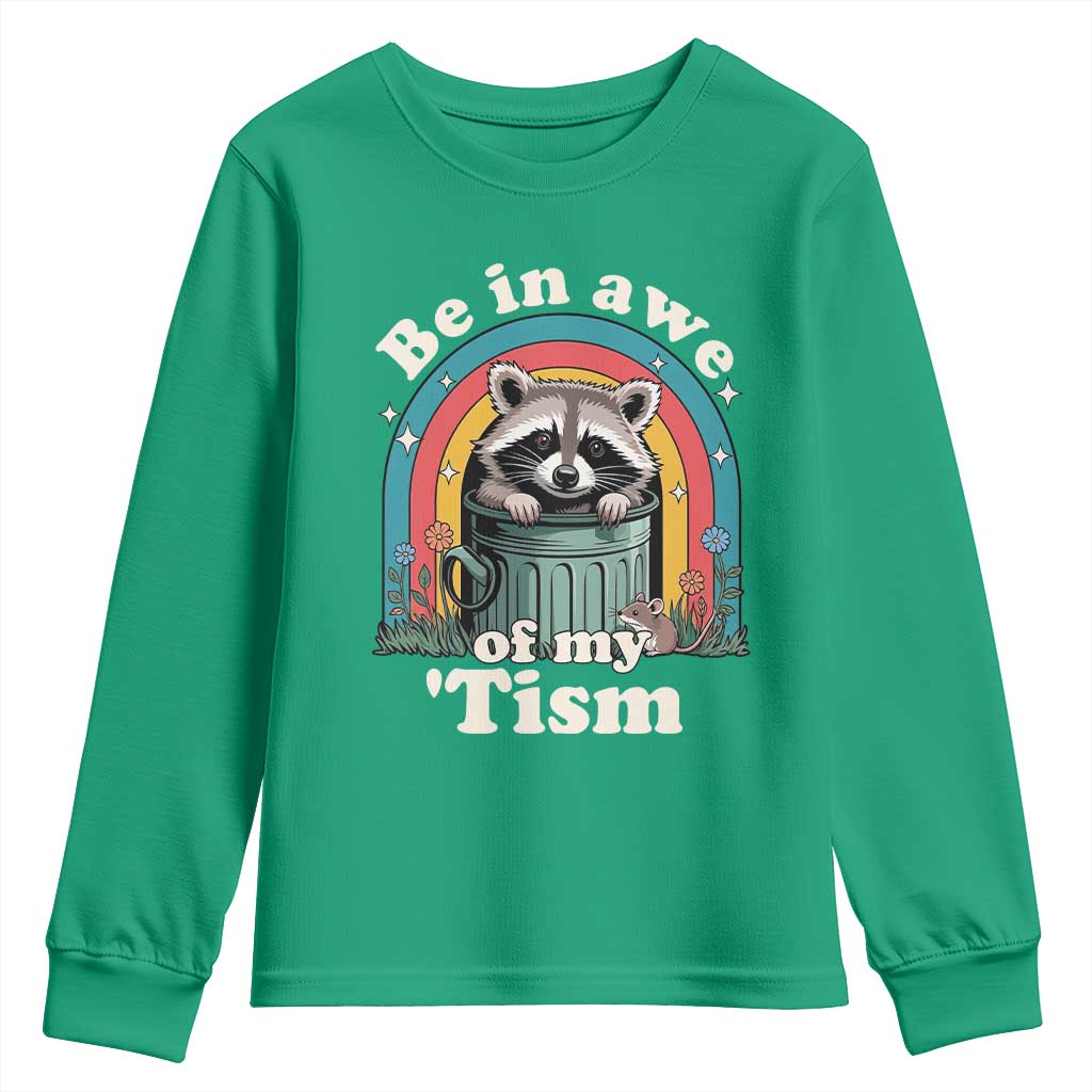 Be in Awe of My Tism Youth Sweatshirt Funny Raccoon Autism Acceptance