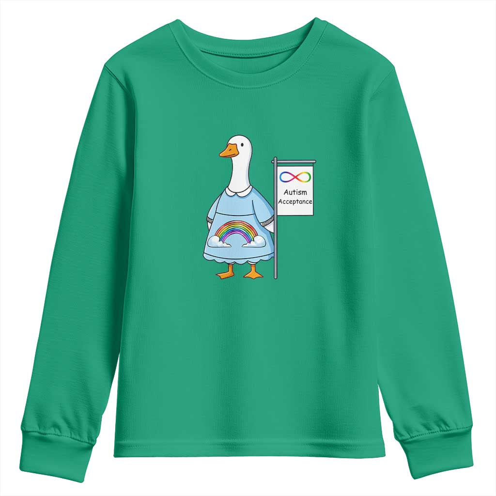Autism Acceptance Youth Sweatshirt Neurodivergent Awareness Silly Goose Support