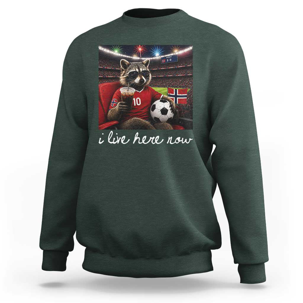 Norway Soccer Football Fan Norge Norwegian Flag Sweatshirt Funny Raccoon Drinking Iced Coffee