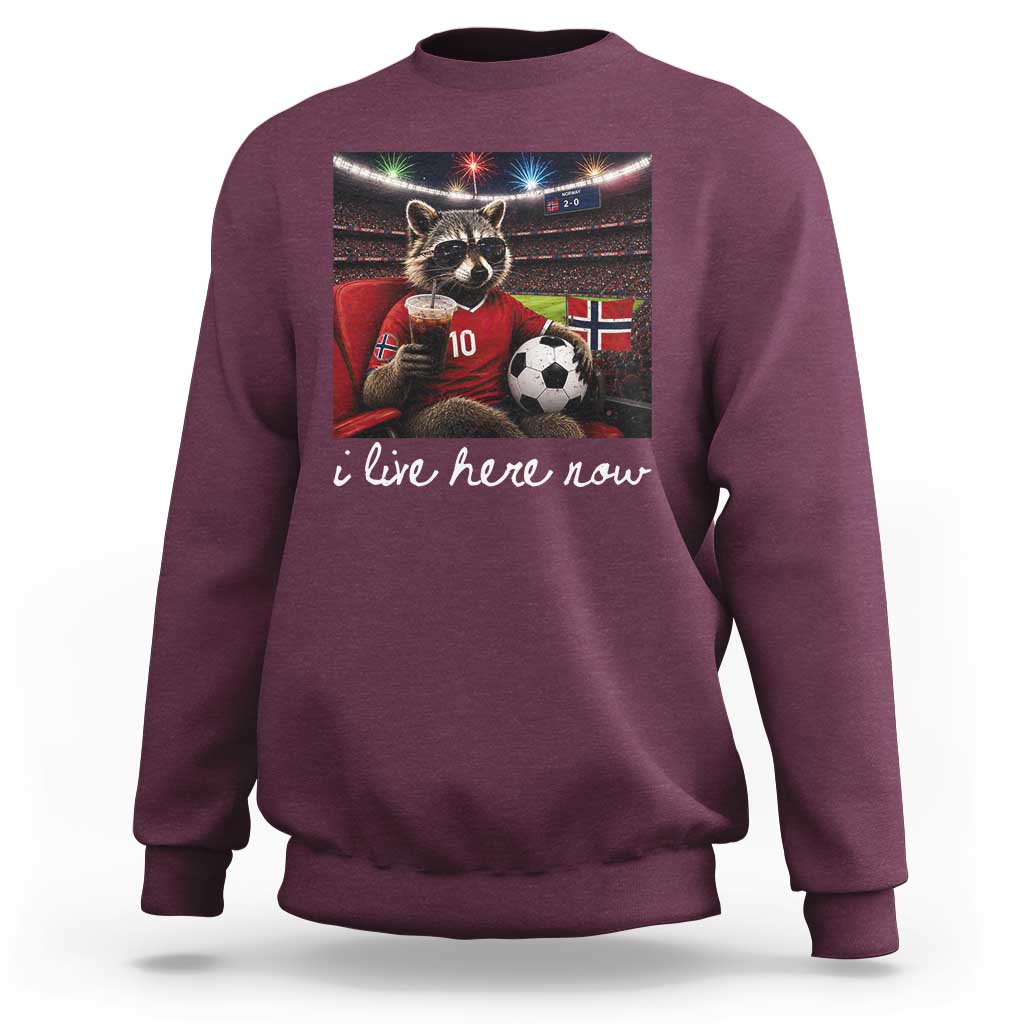 Norway Soccer Football Fan Norge Norwegian Flag Sweatshirt Funny Raccoon Drinking Iced Coffee