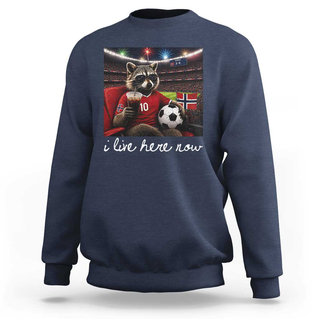 Norway Soccer Football Fan Norge Norwegian Flag Sweatshirt Funny Raccoon Drinking Iced Coffee