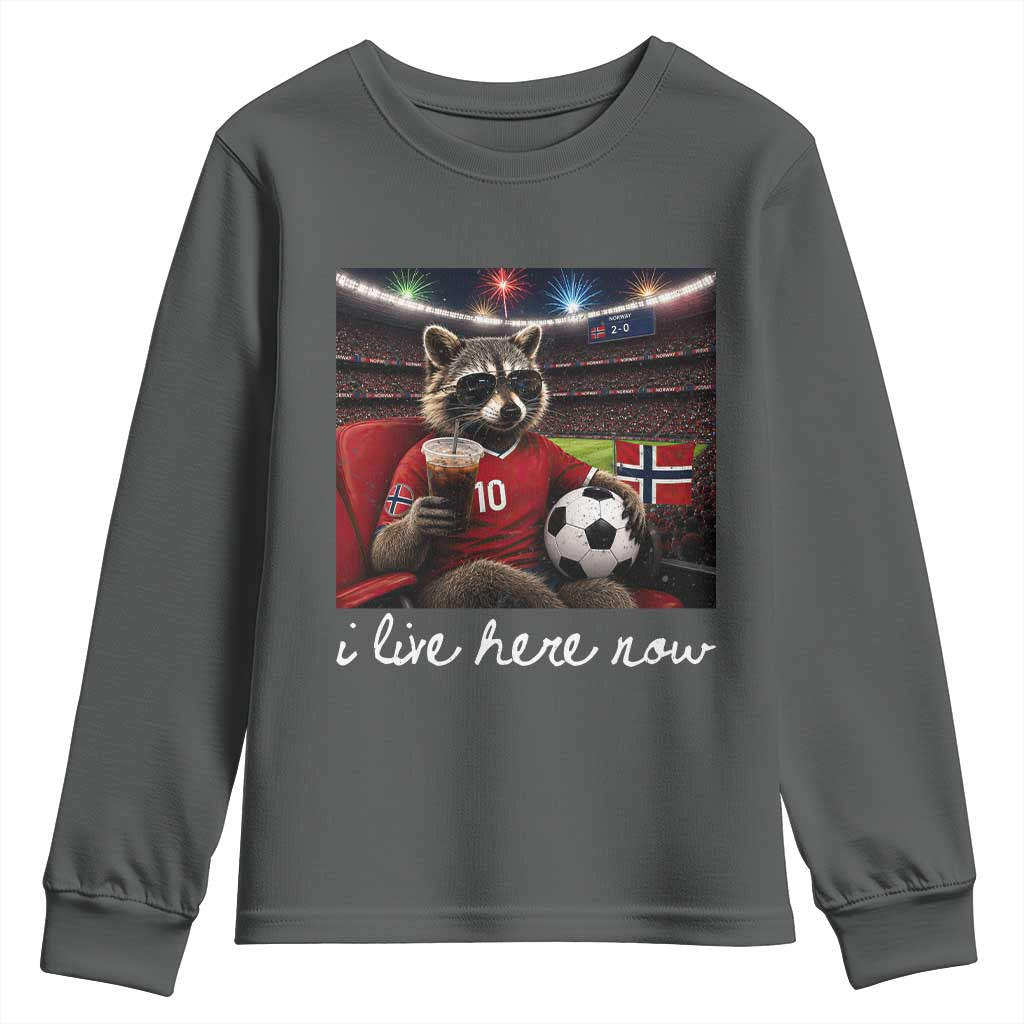 Norway Soccer Football Fan Norge Norwegian Flag Youth Sweatshirt Funny Raccoon Drinking Iced Coffee