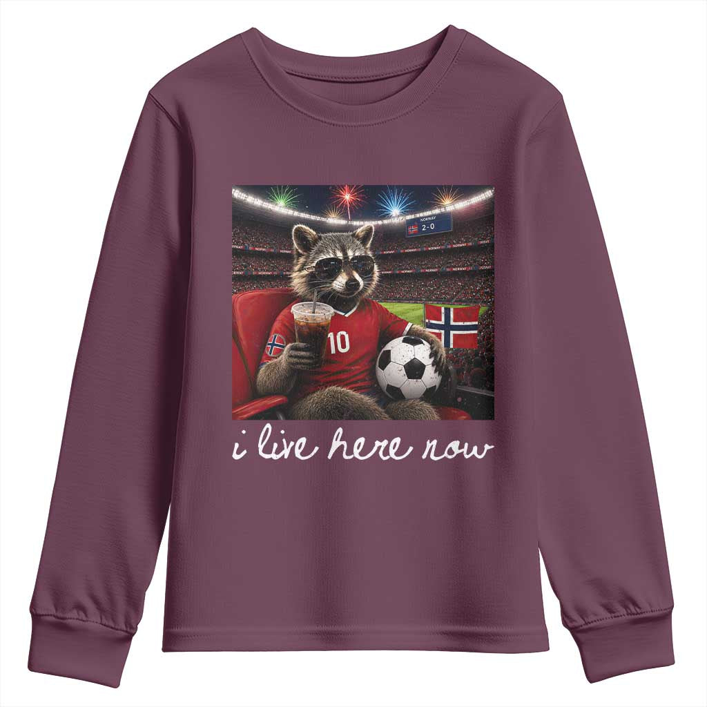 Norway Soccer Football Fan Norge Norwegian Flag Youth Sweatshirt Funny Raccoon Drinking Iced Coffee