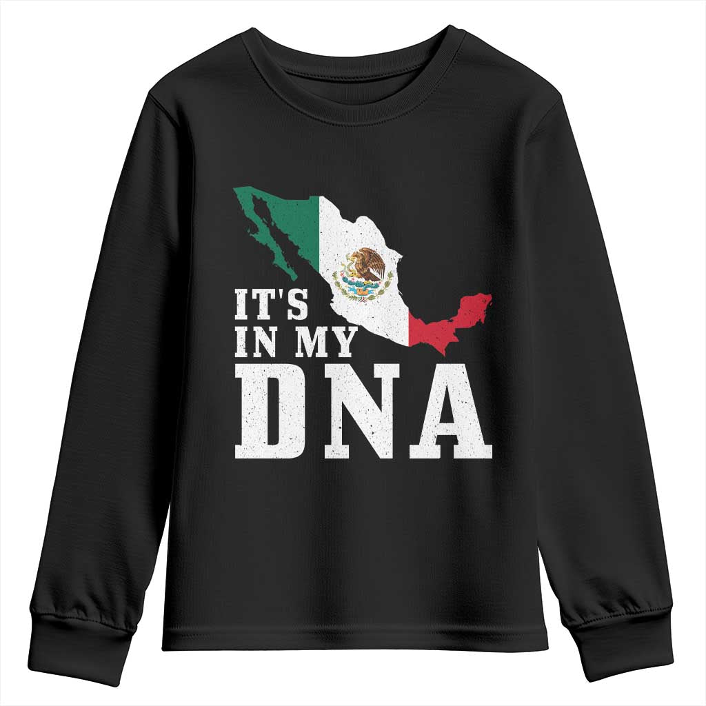 It's in My DNA Mexican Proud Hispanic Gift Mexico Flag Youth Sweatshirt