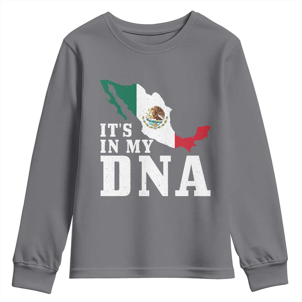 It's in My DNA Mexican Proud Hispanic Gift Mexico Flag Youth Sweatshirt