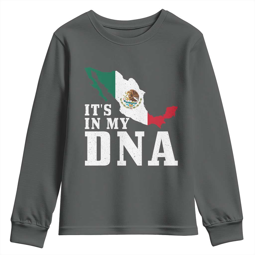 It's in My DNA Mexican Proud Hispanic Gift Mexico Flag Youth Sweatshirt