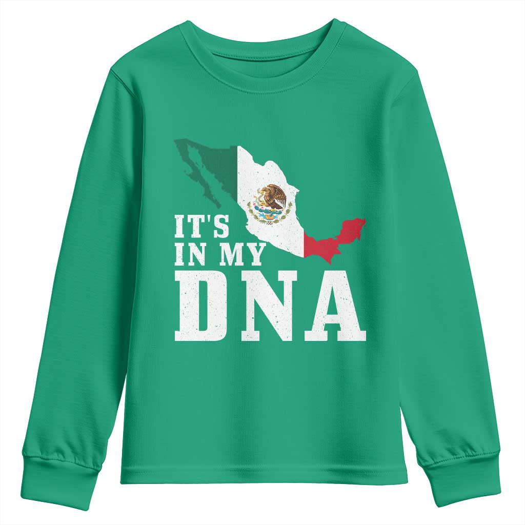 It's in My DNA Mexican Proud Hispanic Gift Mexico Flag Youth Sweatshirt