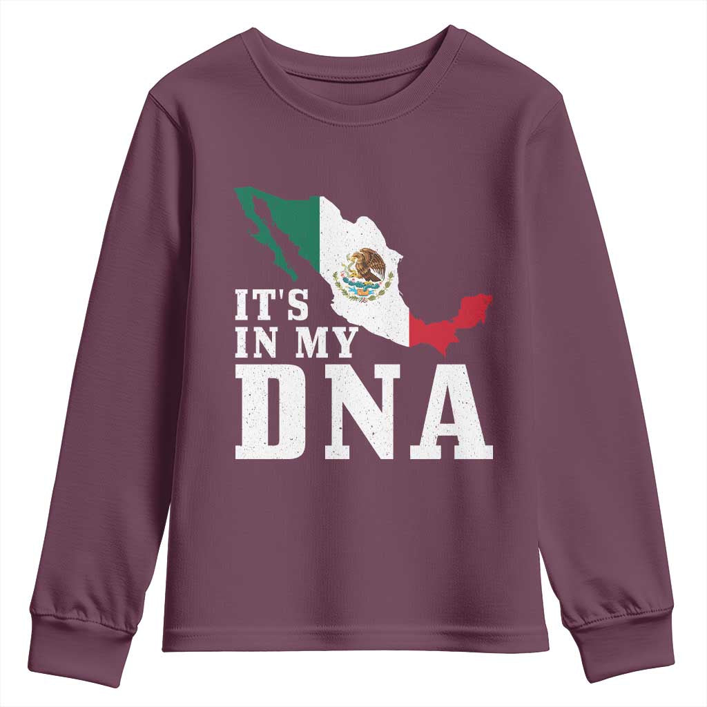 It's in My DNA Mexican Proud Hispanic Gift Mexico Flag Youth Sweatshirt