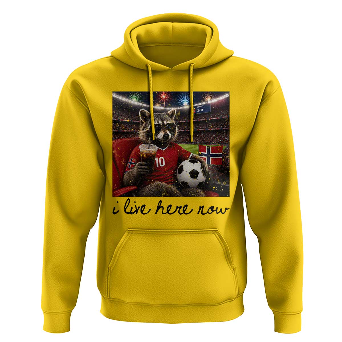 Norway Soccer Football Fan Norge Norwegian Flag Hoodie Funny Raccoon I Live Here Now