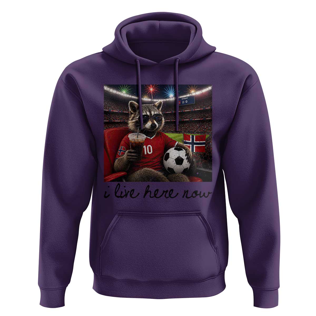 Norway Soccer Football Fan Norge Norwegian Flag Hoodie Funny Raccoon I Live Here Now