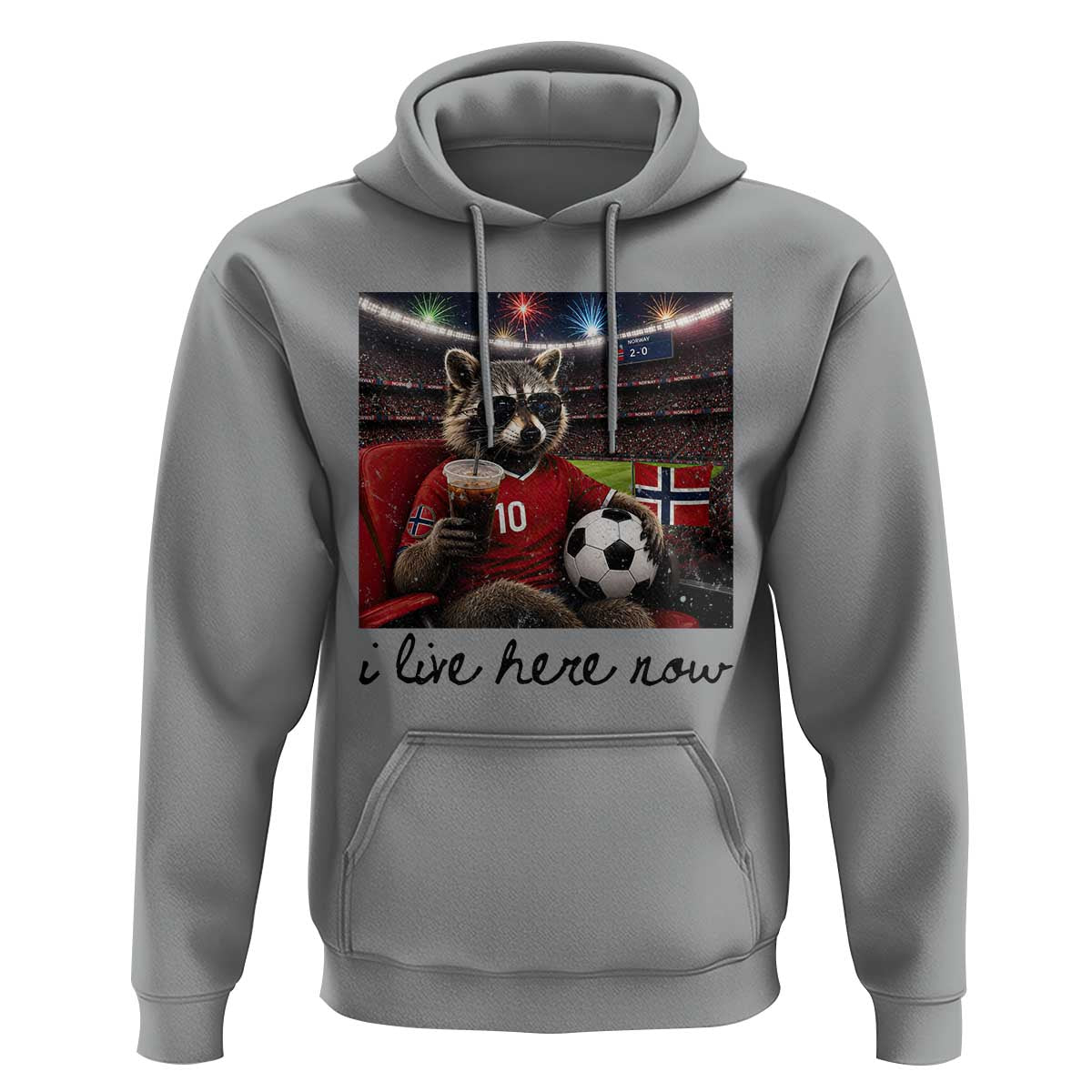 Norway Soccer Football Fan Norge Norwegian Flag Hoodie Funny Raccoon I Live Here Now