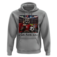 Norway Soccer Football Fan Norge Norwegian Flag Hoodie Funny Raccoon I Live Here Now