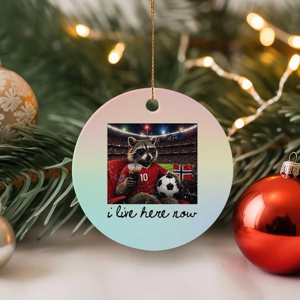 Norway Soccer Football Fan Norge Norwegian Flag Ceramic Ornament Funny Raccoon I Live Here Now