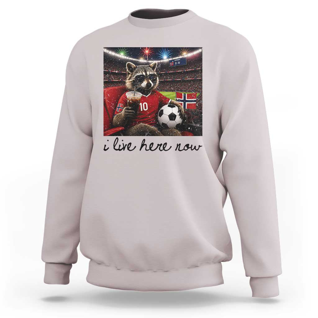 Norway Soccer Football Fan Norge Norwegian Flag Sweatshirt Funny Raccoon I Live Here Now