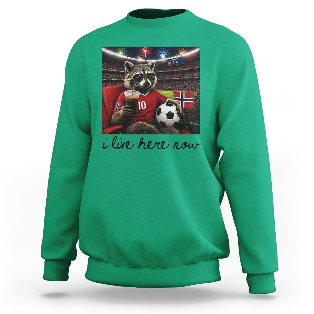 Norway Soccer Football Fan Norge Norwegian Flag Sweatshirt Funny Raccoon I Live Here Now
