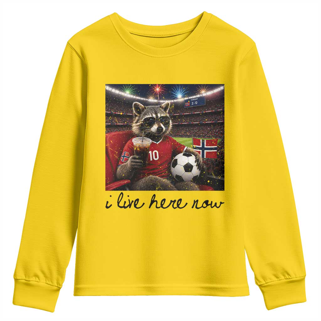 Norway Soccer Football Fan Norge Norwegian Flag Youth Sweatshirt Funny Raccoon I Live Here Now