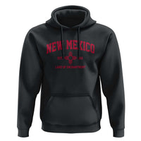 Vintage New Mexico Flag Zia Sun Souvenir Hoodie