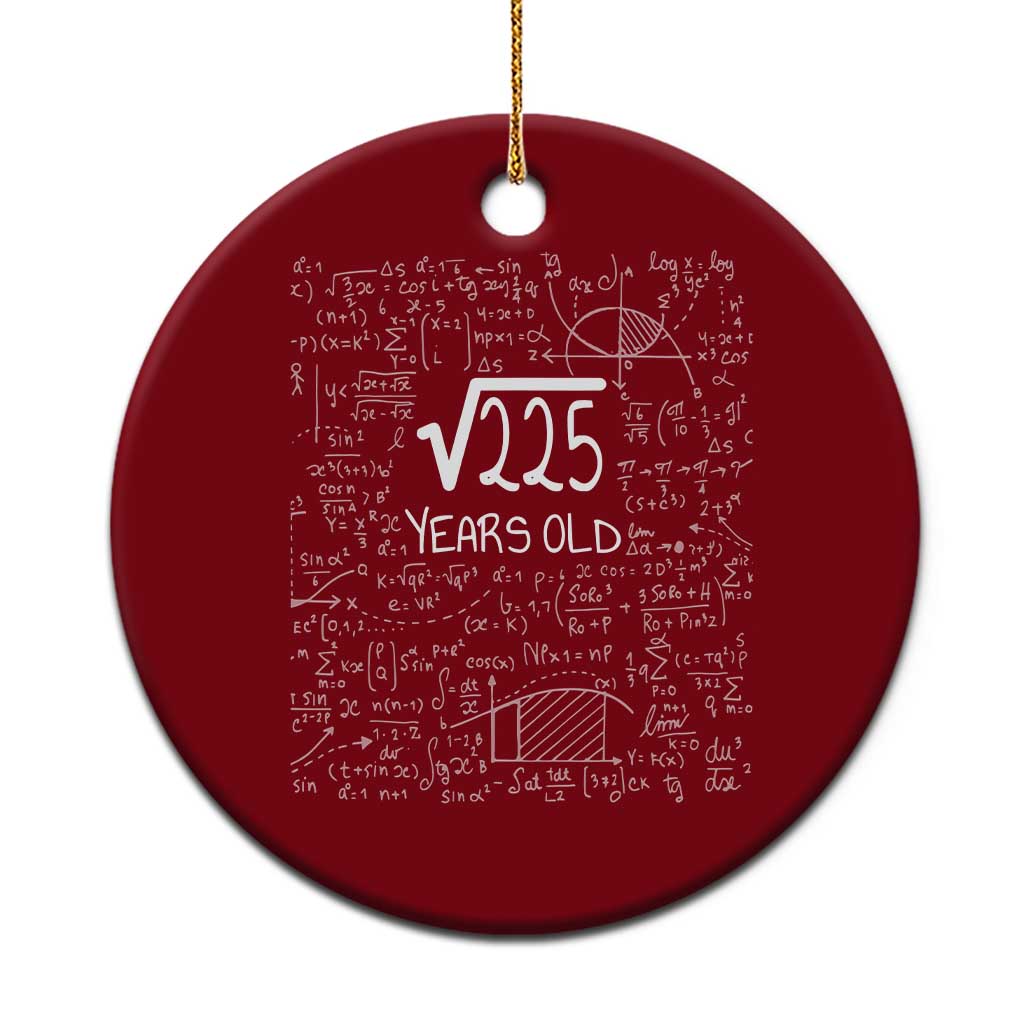 15th Birthday Math Ceramic Ornament Square Root of 225 Funny Math Nerd 15 Year Old Gift