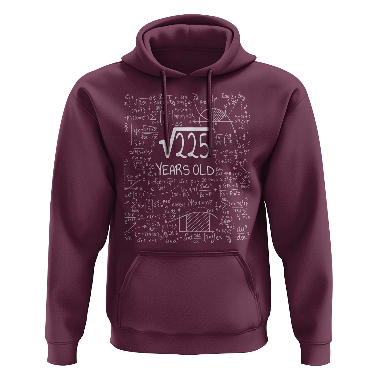 15th Birthday Math Hoodie Square Root of 225 Funny Math Nerd 15 Year Old Gift