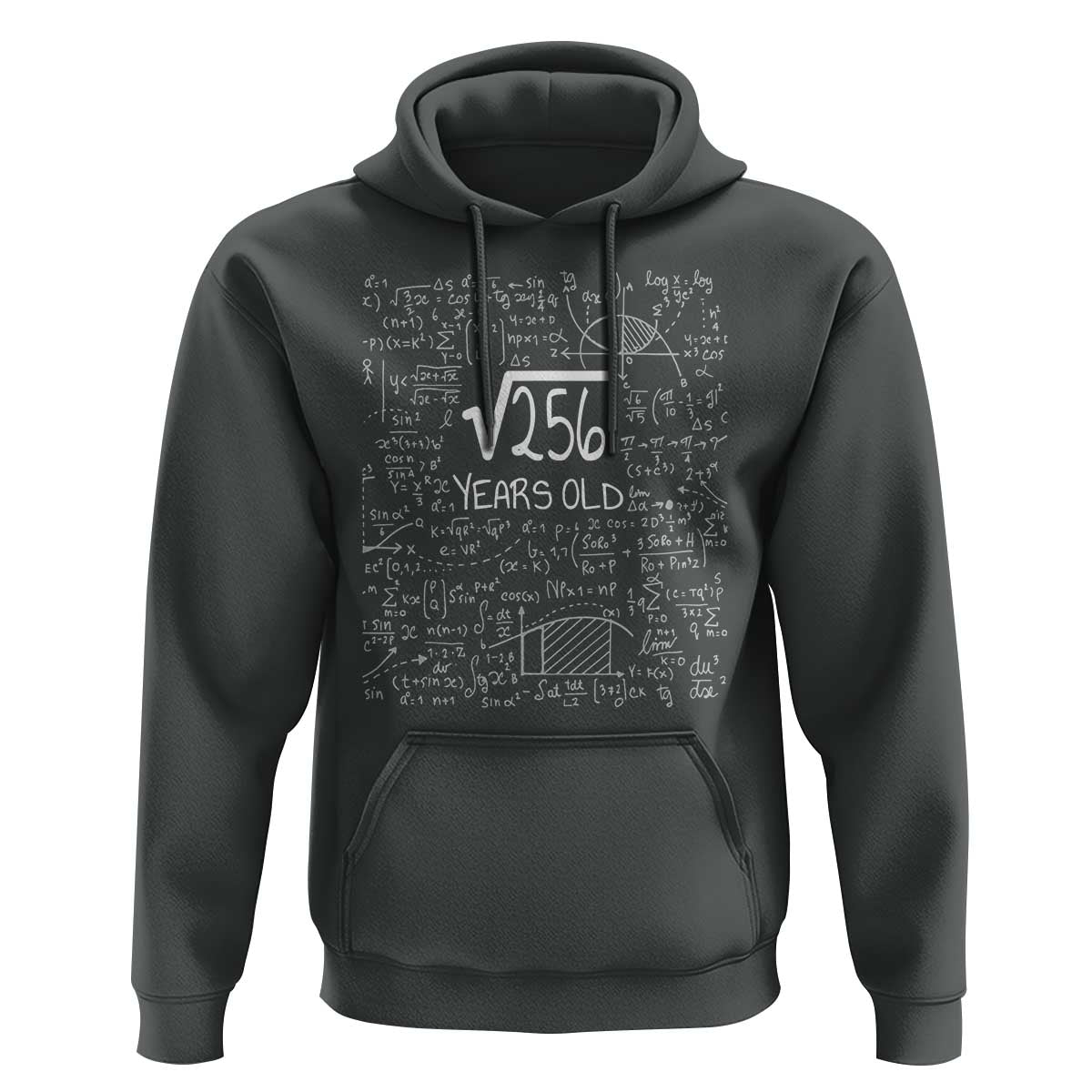 16th Birthday Math Hoodie Square Root of 256 Funny Math Nerd 16 Year Old Gift