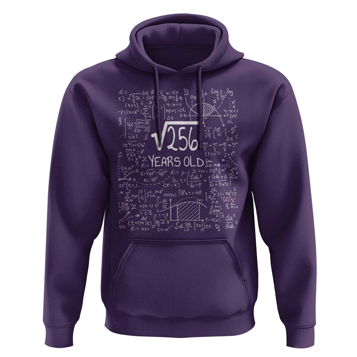 16th Birthday Math Hoodie Square Root of 256 Funny Math Nerd 16 Year Old Gift