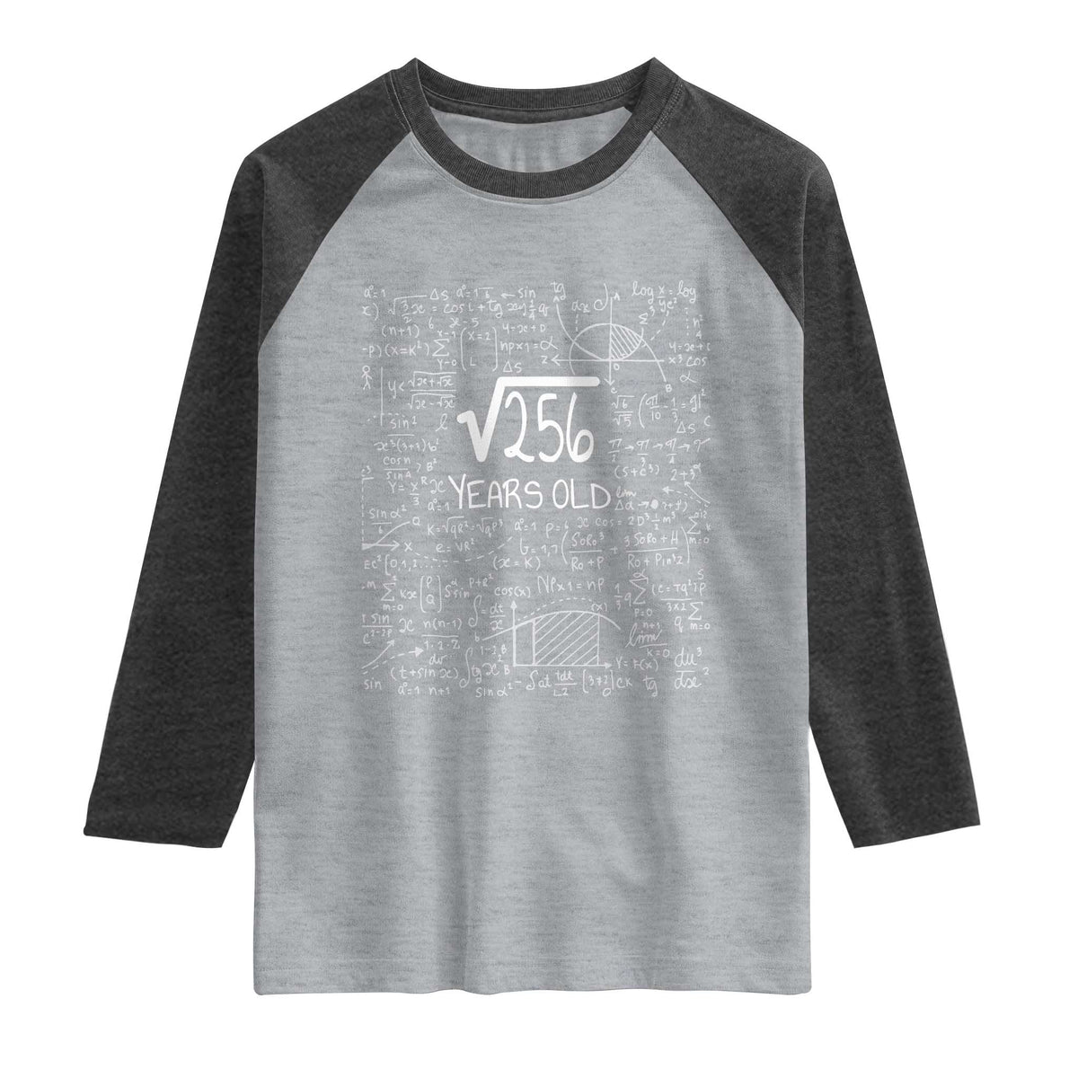 16th Birthday Math Raglan Shirt Square Root of 256 Funny Math Nerd 16 Year Old Gift