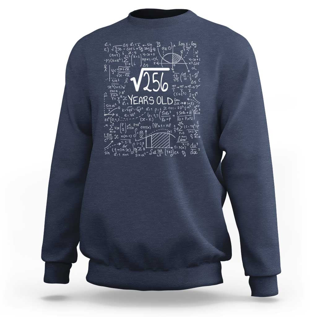 16th Birthday Math Sweatshirt Square Root of 256 Funny Math Nerd 16 Year Old Gift