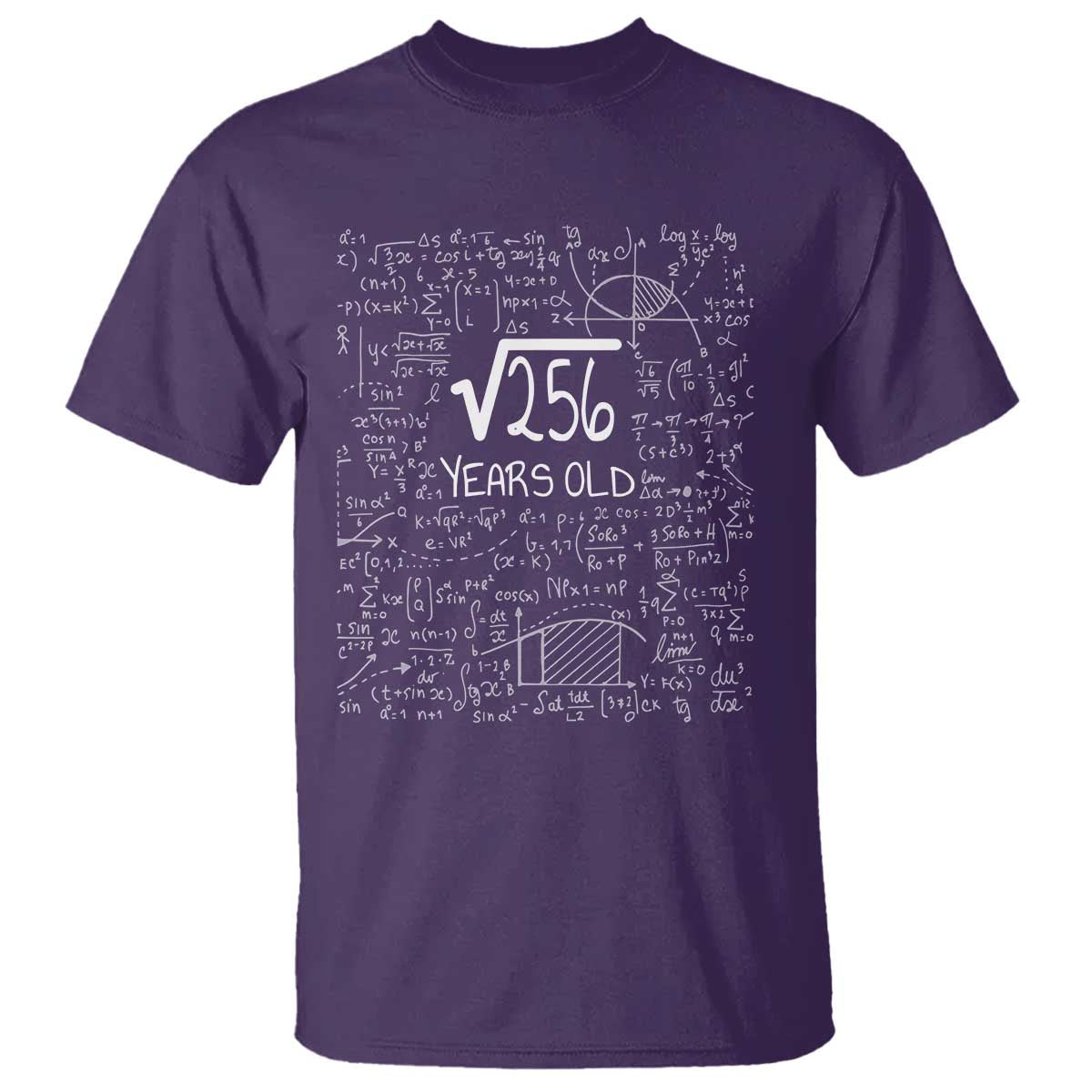 16th Birthday Math T Shirt Square Root of 256 Funny Math Nerd 16 Year Old Gift