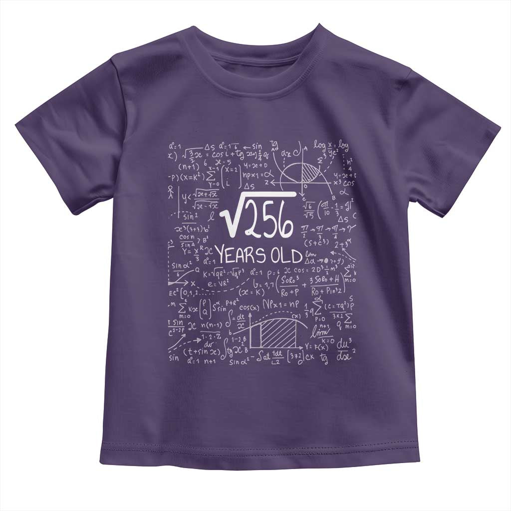 16th Birthday Math Toddler T Shirt Square Root of 256 Funny Math Nerd 16 Year Old Gift