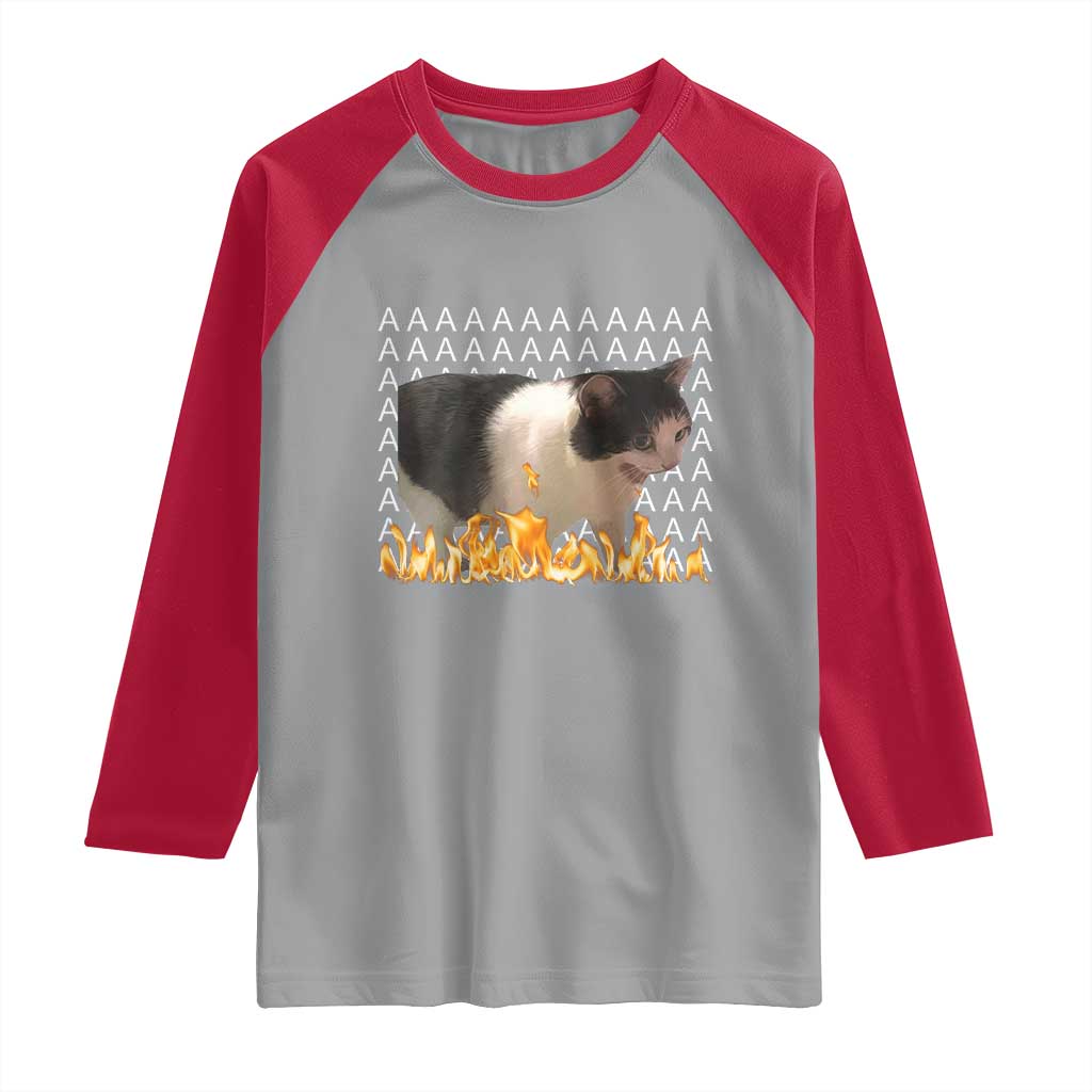 Screaming Cat Meme Raglan Shirt Funny Internet Gen Z Cat Lover